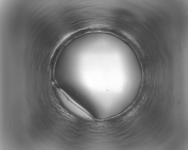 X0000053011021200508051155