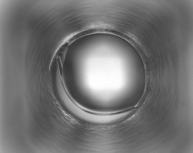 X0000053011022200508051155