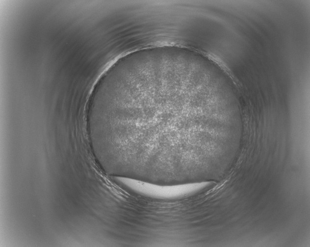 X0000053011023200508051155