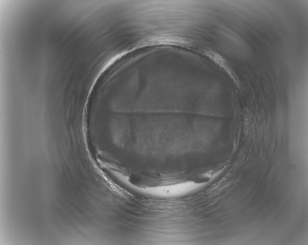 X0000053011024200508051155