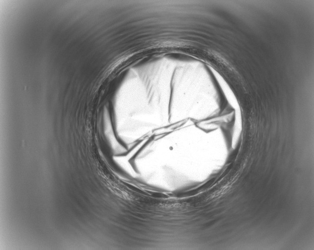 X0000053011025200508051155