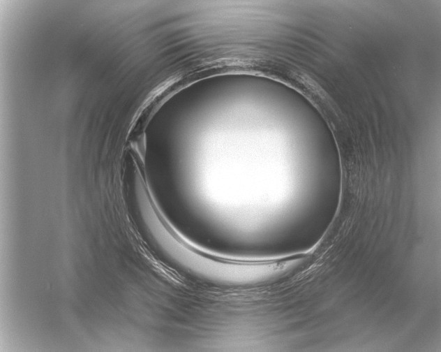 X0000053011026200508051155