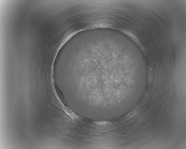 X0000053011031200508051155