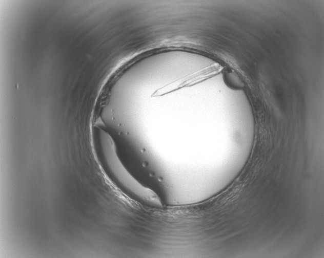 X0000053011032200508051155