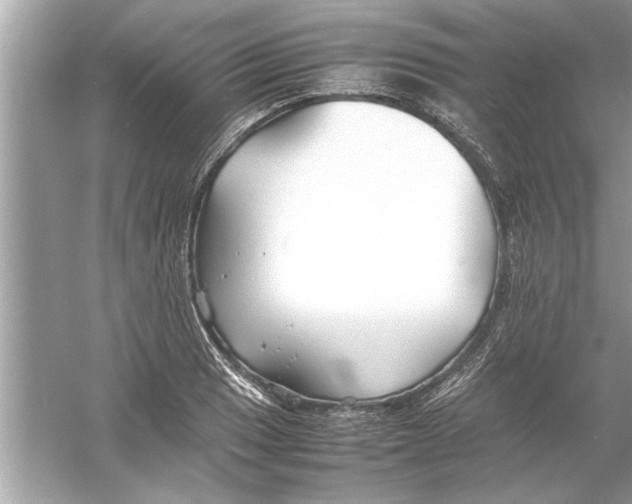 X0000053011033200508051155