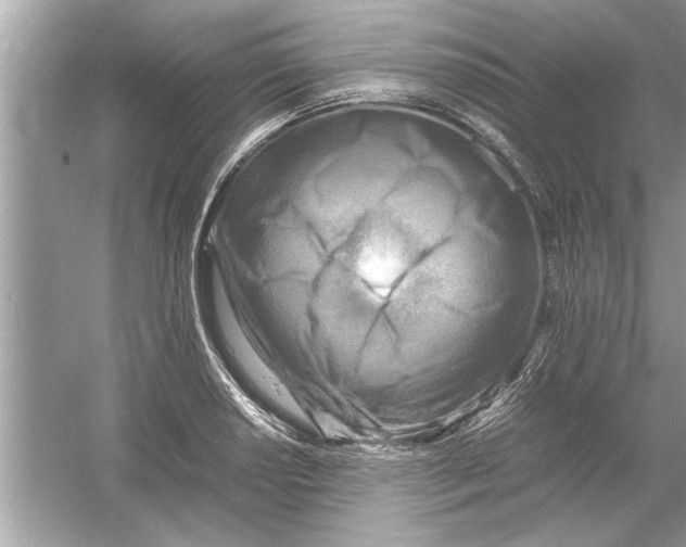 X0000053011034200508051155