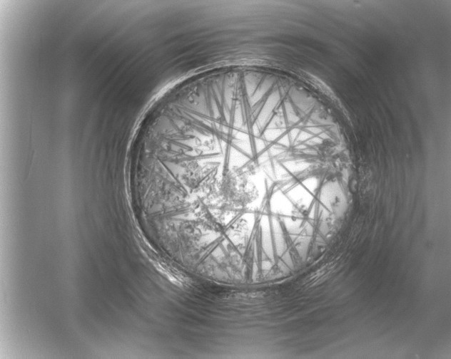 X0000053011035200508051155