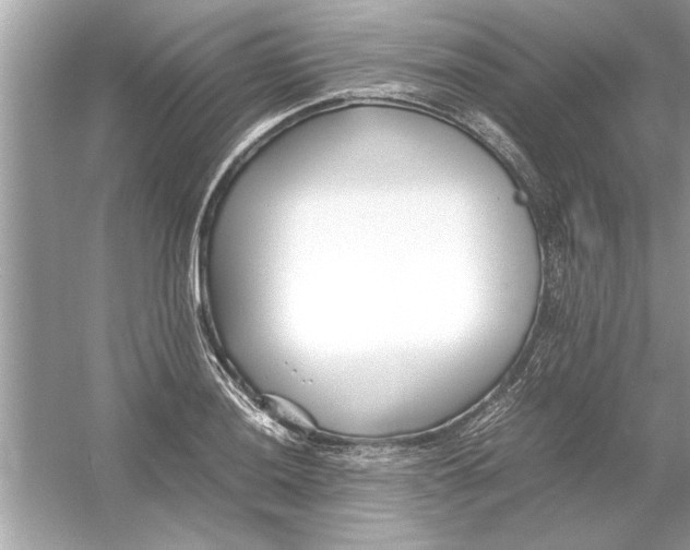 X0000053011036200508051155