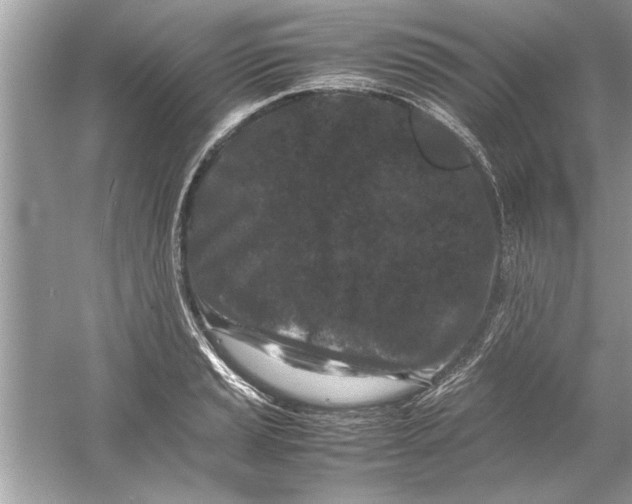 X0000053011037200508051155