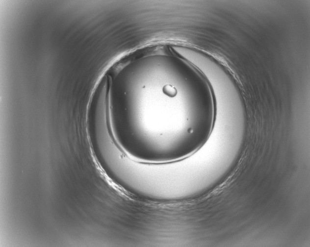 X0000053011038200508051155