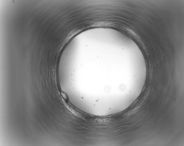 X0000053011041200508051155