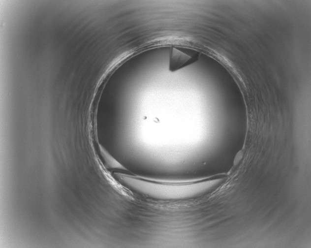 X0000053011042200508051155