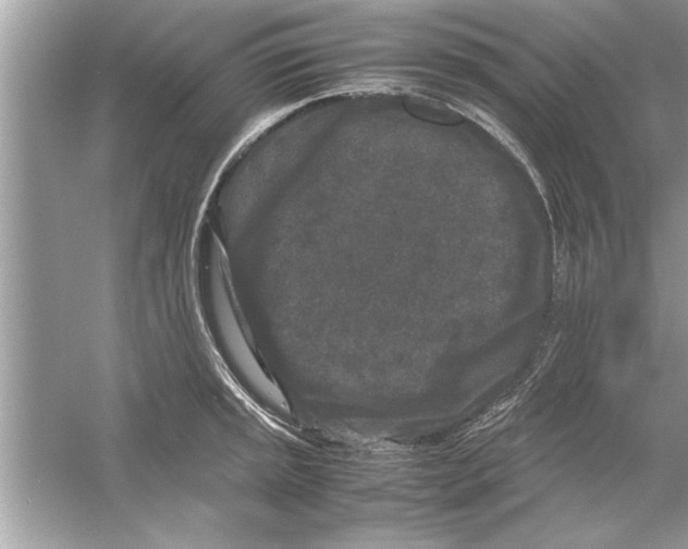 X0000053011045200508051155