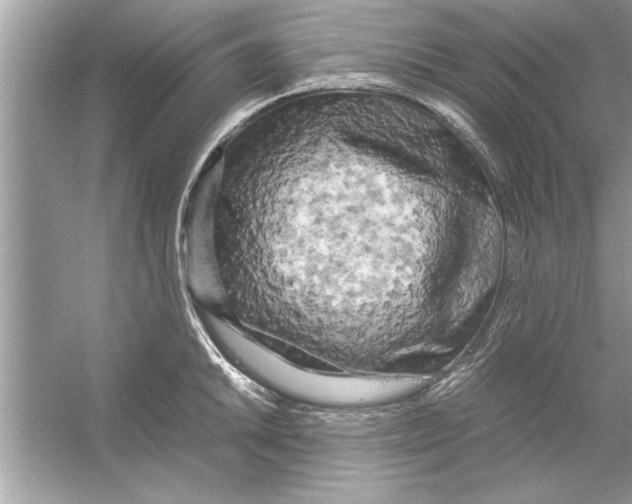 X0000053011046200508051155