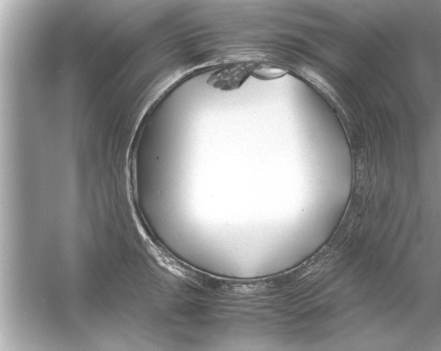 X0000053011047200508051155