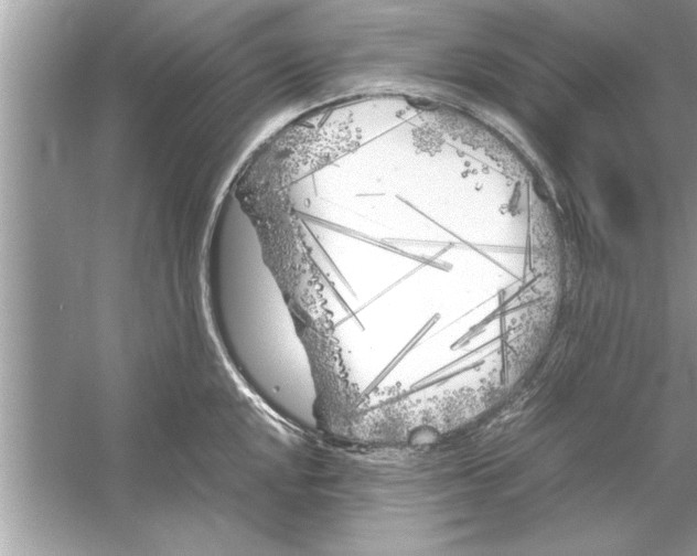 X0000053011048200508051155