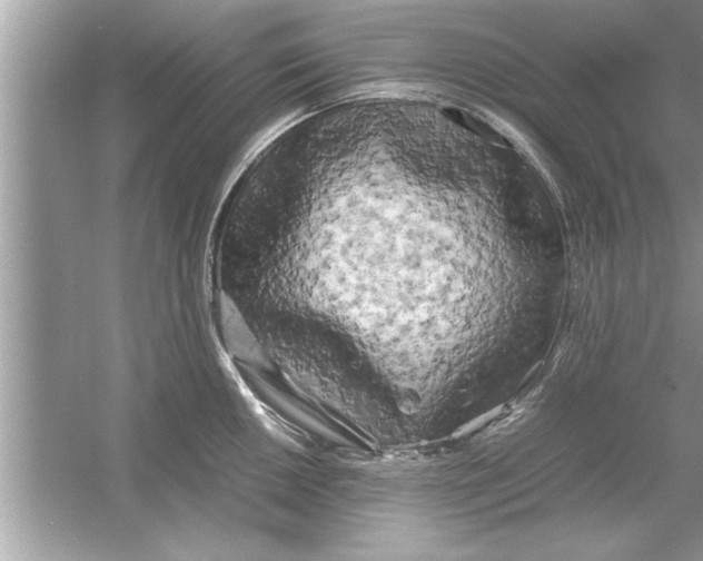 X0000053011050200508051155