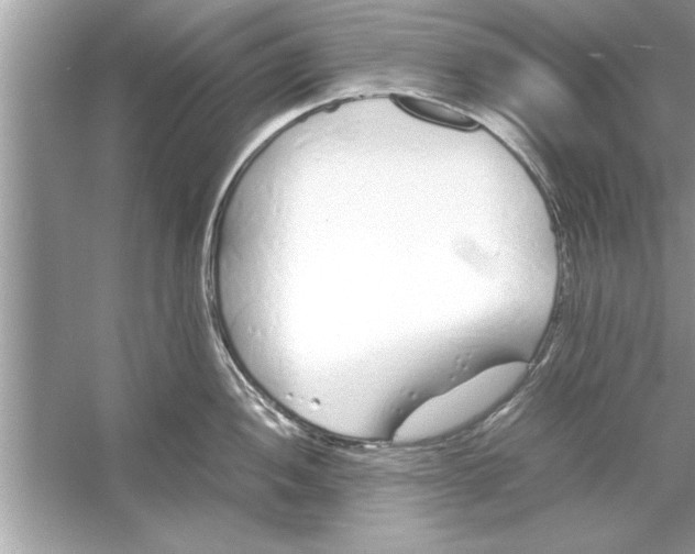 X0000053011052200508051155