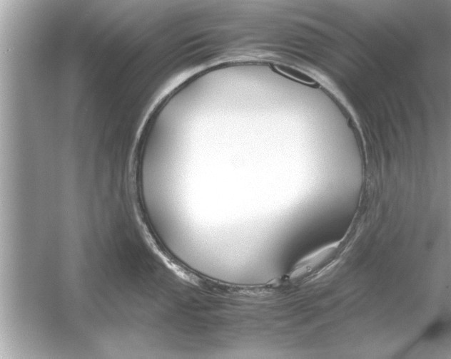 X0000053011053200508051155