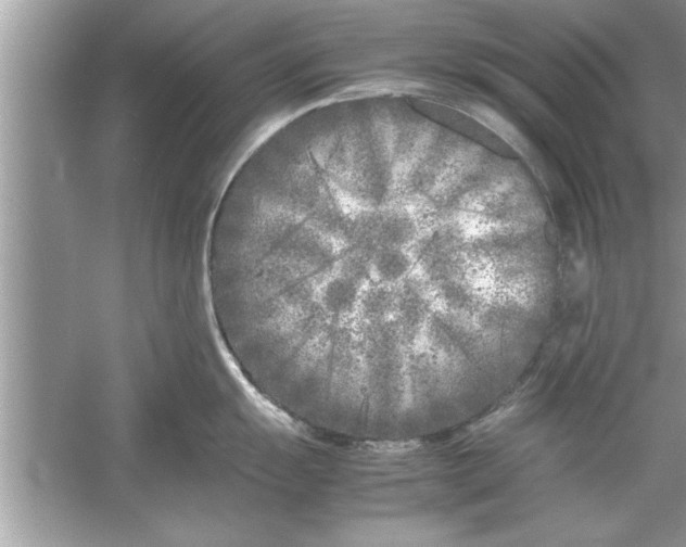 X0000053011055200508051155