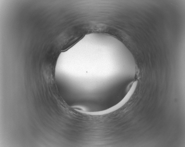 X0000053011058200508051154