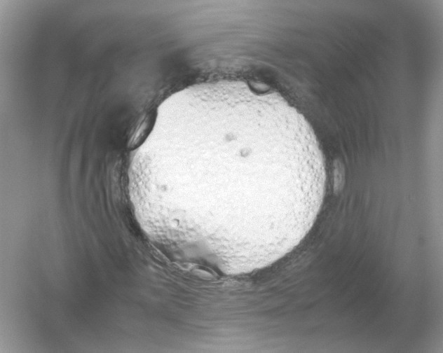 X0000053011059200508051154