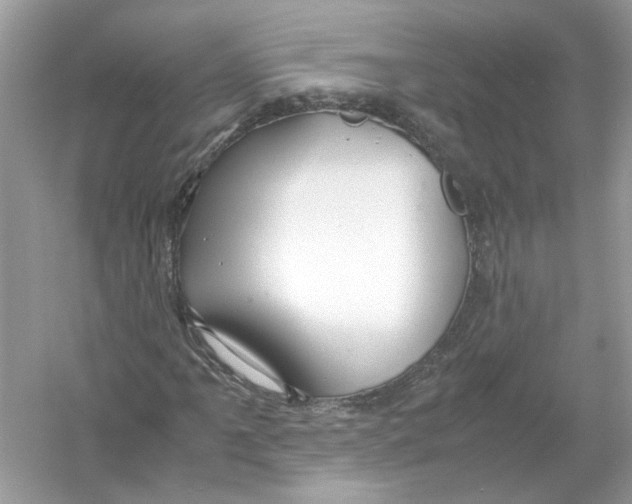 X0000053011061200508051154