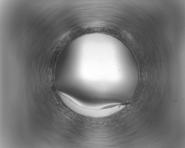 X0000053011062200508051154