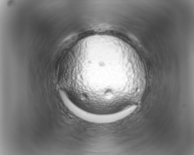 X0000053011063200508051154