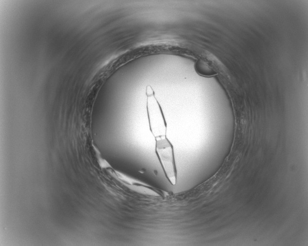 X0000053011064200508051154