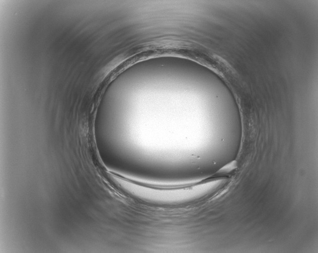 X0000053011065200508051154