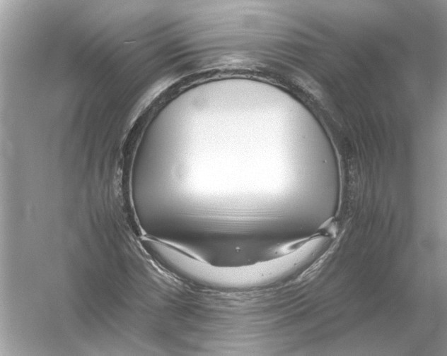 X0000053011066200508051154