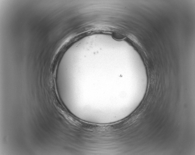 X0000053011067200508051154