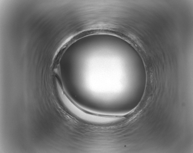 X0000053011069200508051154