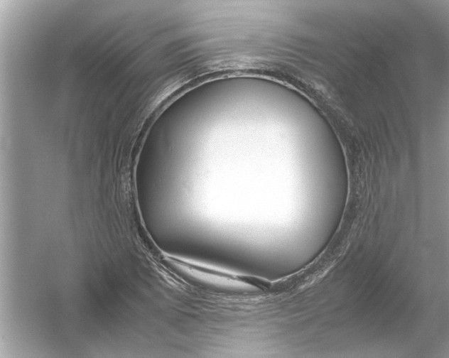 X0000053011073200508051154