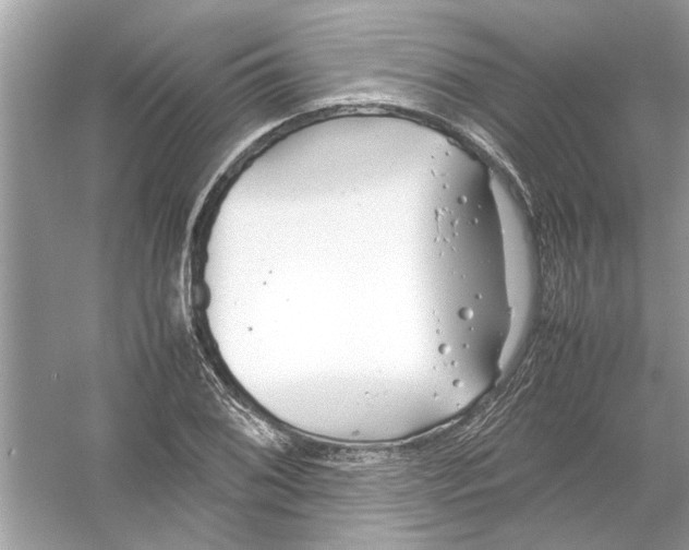 X0000053011076200508051154