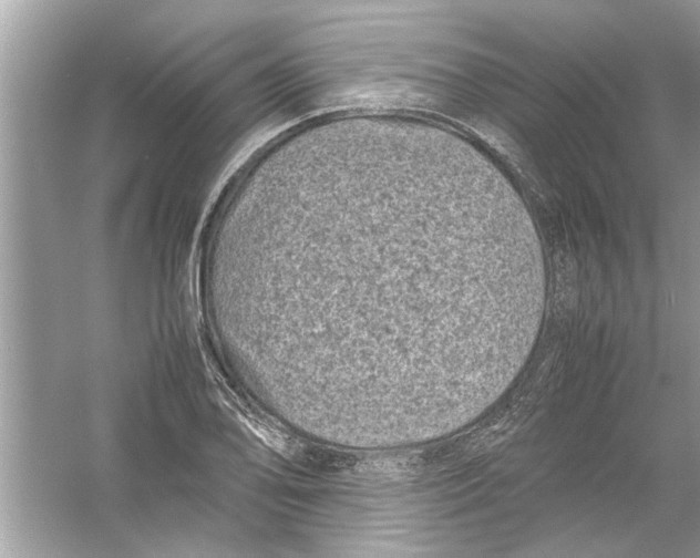 X0000053011078200508051154