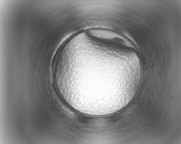 X0000053011079200508051154