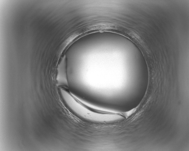 X0000053011081200508051154