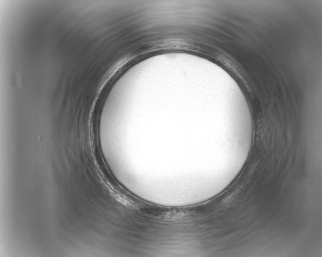 X0000053011082200508051154