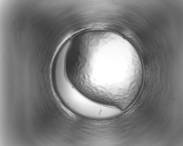 X0000053011083200508051154