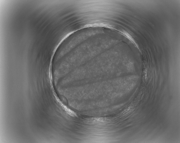 X0000053011084200508051154