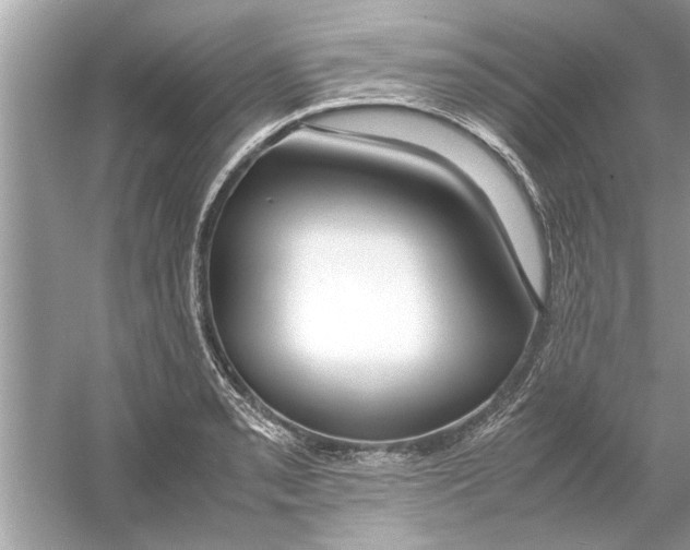 X0000053011085200508051154