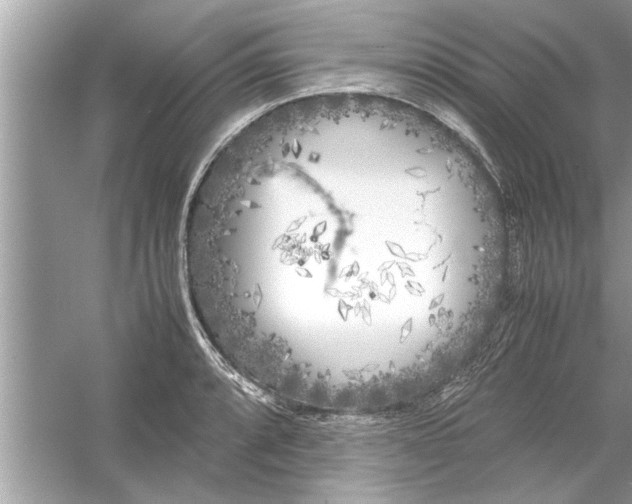 X0000053011088200508051154