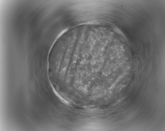 X0000053011095200508051154