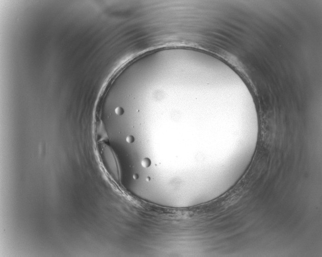 X0000053011096200508051154