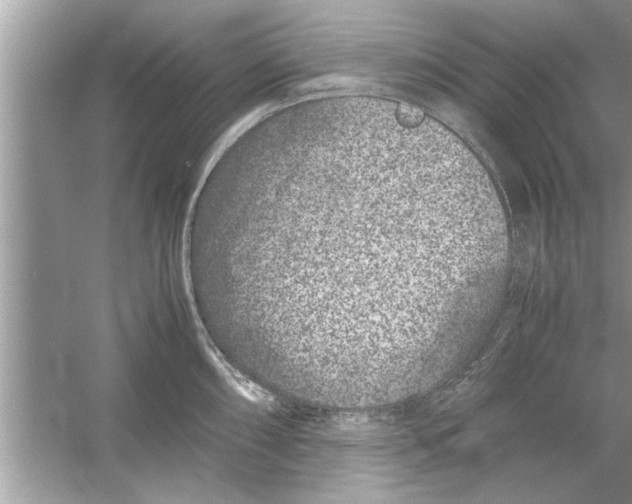 X0000053011098200508051154