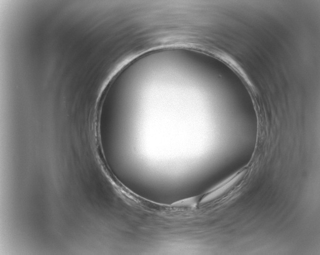 X0000053011101200508051154