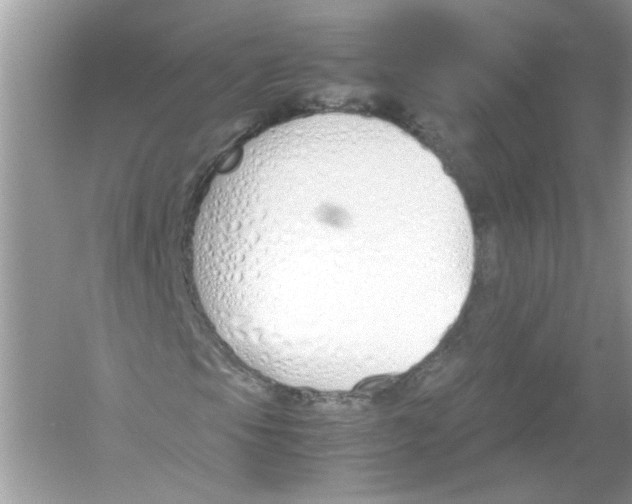 X0000053011105200508051153