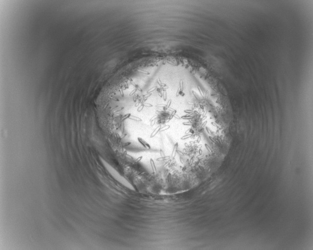 X0000053011106200508051153